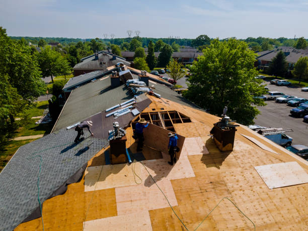 Best Roof Maintenance Services  in Steelevle, IL