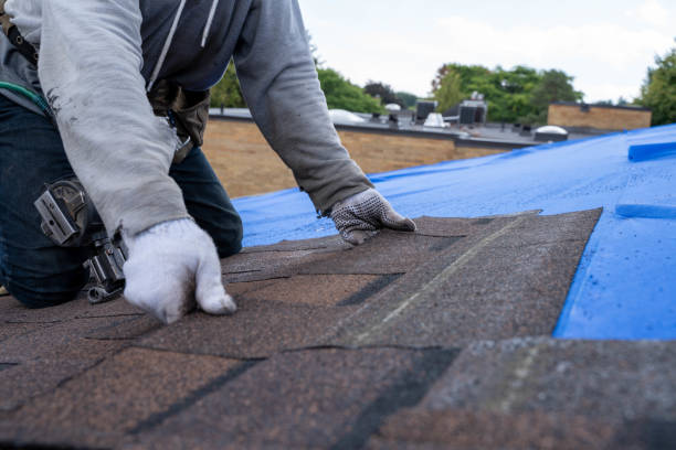 Best Best Roofing Contractors  in Steelevle, IL