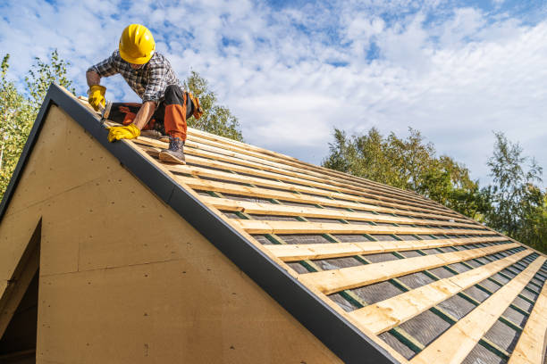 Best Roof Gutter Cleaning  in Steelevle, IL