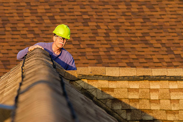 Best Roof Repair Specialists  in Steelevle, IL