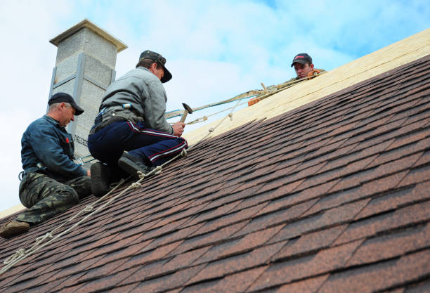 Best Residential Roof Replacement  in Steelevle, IL
