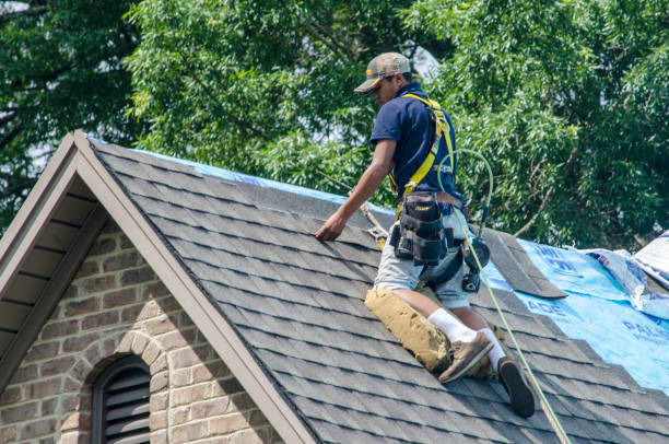 Best Emergency Roof Repair  in Steelevle, IL